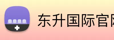 东升国际官网 logo